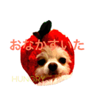まりあとおしゃべりしよっ！（個別スタンプ：24）