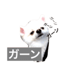 まりあとおしゃべりしよっ！（個別スタンプ：29）