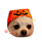 まりあとおしゃべりしよっ！（個別スタンプ：31）