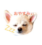 まりあとおしゃべりしよっ！（個別スタンプ：35）