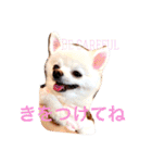 まりあとおしゃべりしよっ！（個別スタンプ：36）
