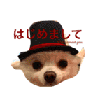 まりあとおしゃべりしよっ！（個別スタンプ：39）