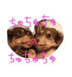 おにまんぷぅ（個別スタンプ：1）