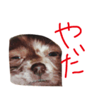 おにまんぷぅ（個別スタンプ：2）