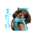 おにまんぷぅ（個別スタンプ：4）