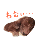 おにまんぷぅ（個別スタンプ：6）