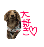 おにまんぷぅ（個別スタンプ：7）
