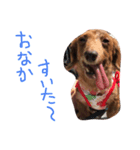 おにまんぷぅ（個別スタンプ：8）