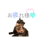 rio's style . ver2（個別スタンプ：11）