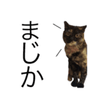 rio's style . ver2（個別スタンプ：13）