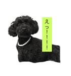 私とモコ4（個別スタンプ：1）