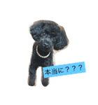 私とモコ4（個別スタンプ：13）