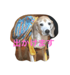 ビーグル犬ピースくん（個別スタンプ：2）