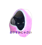 ウニフクボンカイ（個別スタンプ：5）