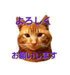 ウニフクボンカイ（個別スタンプ：7）