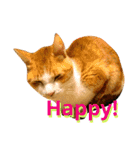 ウニフクボンカイ（個別スタンプ：9）