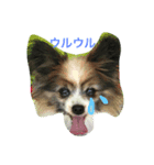 ハルとガブ（個別スタンプ：1）