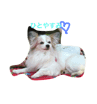 ハルとガブ（個別スタンプ：5）
