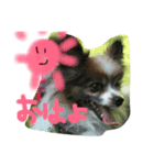 ハルとガブ（個別スタンプ：7）