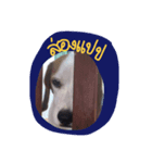 simmy the boy（個別スタンプ：2）