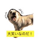 梅助のキモチ（個別スタンプ：2）