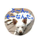梅助のキモチ（個別スタンプ：7）