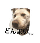 梅助のキモチ（個別スタンプ：10）