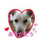 梅助のキモチ（個別スタンプ：12）