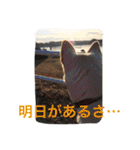 梅助のキモチ（個別スタンプ：13）