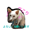 梅助のキモチ（個別スタンプ：14）