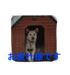 梅助のキモチ（個別スタンプ：16）