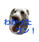 梅助のキモチ（個別スタンプ：17）