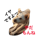梅助のキモチ（個別スタンプ：18）