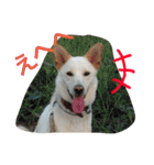 梅助のキモチ（個別スタンプ：19）