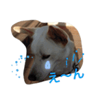 梅助のキモチ（個別スタンプ：20）