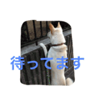 梅助のキモチ（個別スタンプ：21）