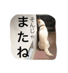 梅助のキモチ（個別スタンプ：22）