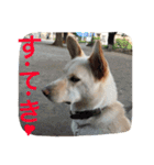 梅助のキモチ（個別スタンプ：23）