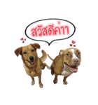 Ban3Ha（個別スタンプ：1）