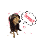 Ban3Ha（個別スタンプ：8）