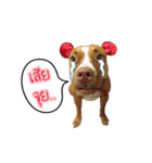 Ban3Ha（個別スタンプ：20）