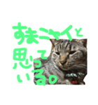 たけらいふ（個別スタンプ：3）