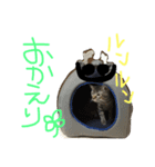 たけらいふ（個別スタンプ：4）