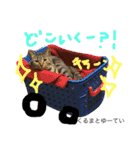 たけらいふ（個別スタンプ：17）