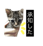 たけらいふ（個別スタンプ：18）