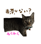 たけらいふ（個別スタンプ：23）