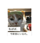 かいたそ（個別スタンプ：2）