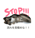 かいたそ（個別スタンプ：5）
