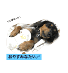 我が家の自宅警備員、大豆くん（個別スタンプ：13）
