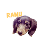 RAMU'S STAMP（個別スタンプ：6）